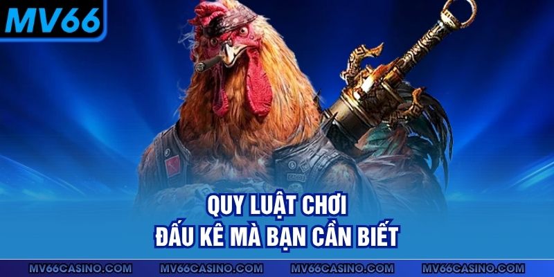Quy luật chơi đấu kê mà bạn cần biết